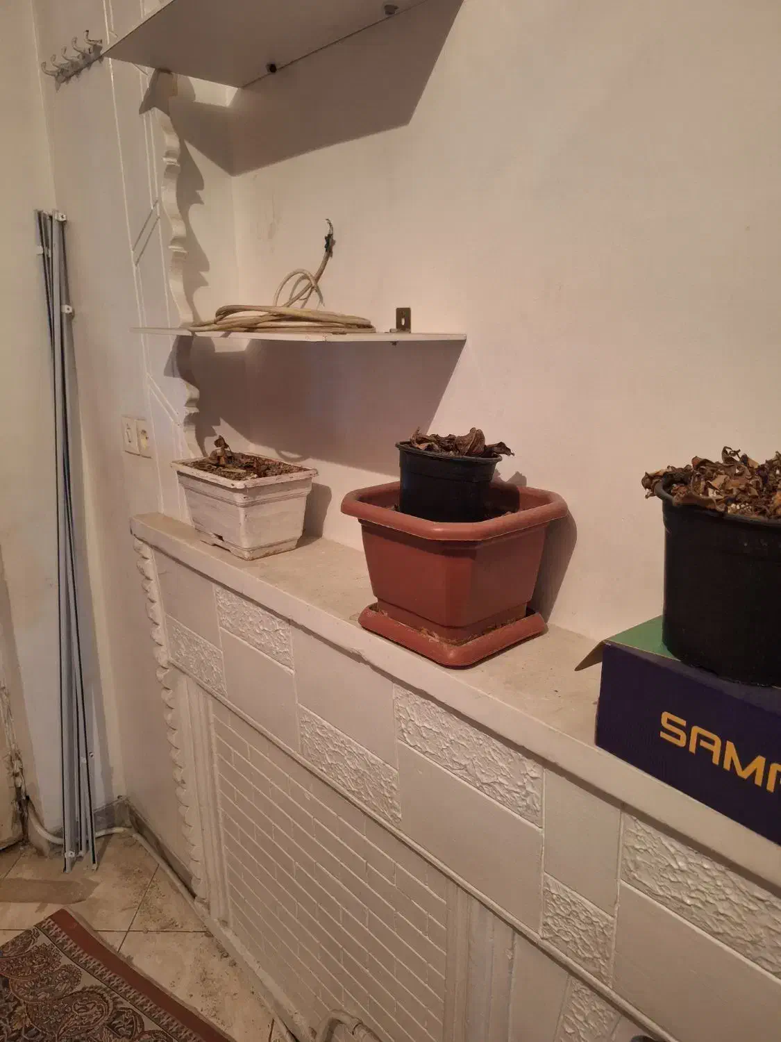 تعدادی گلدان بف فروش میرسد|گل و گیاه طبیعی|تهران, تسلیحات|دیوار