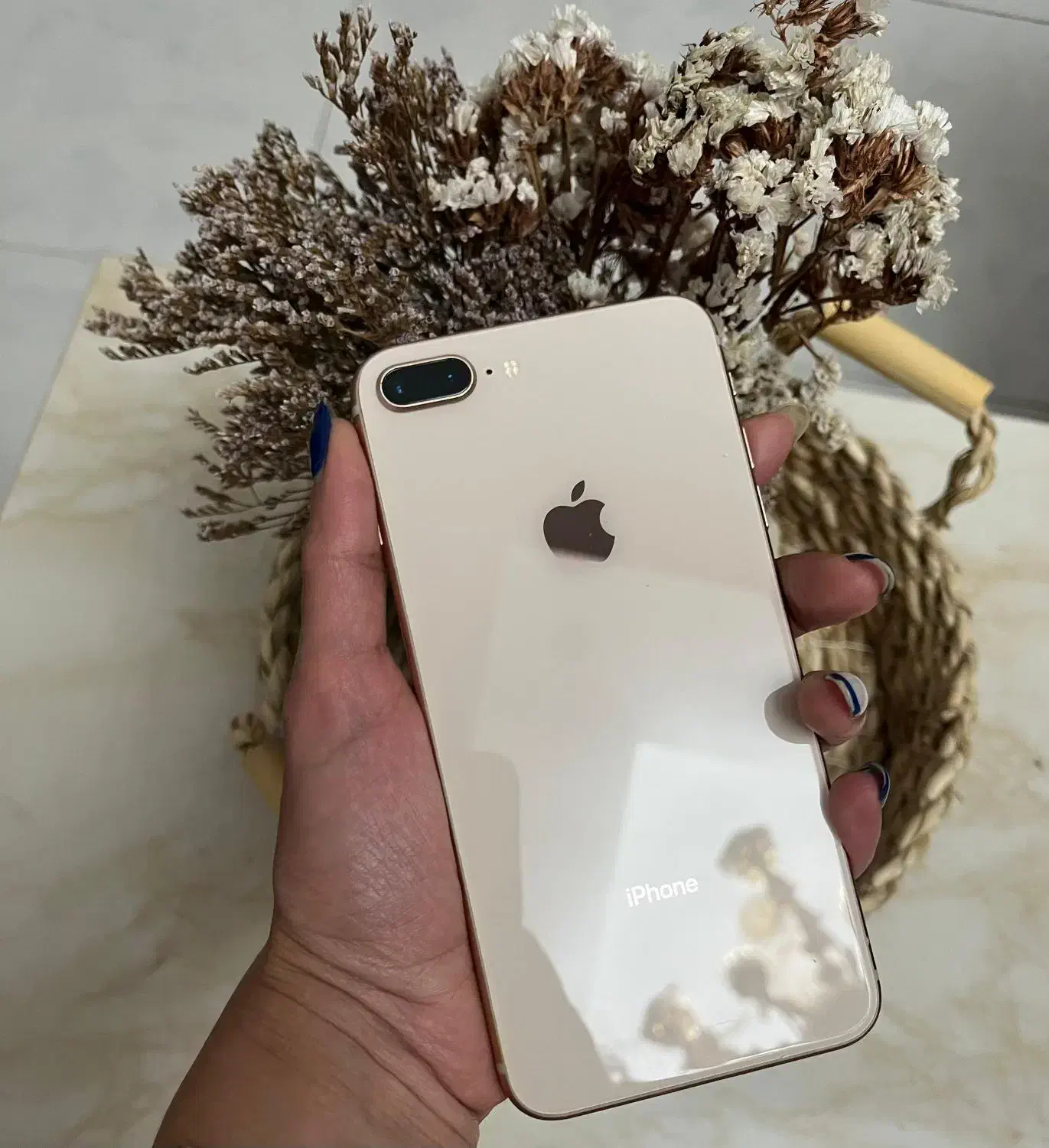 ایفون ۸ پلاس ۲۵۶|موبایل|رشت, شهرک آیت الله منتظری|دیوار