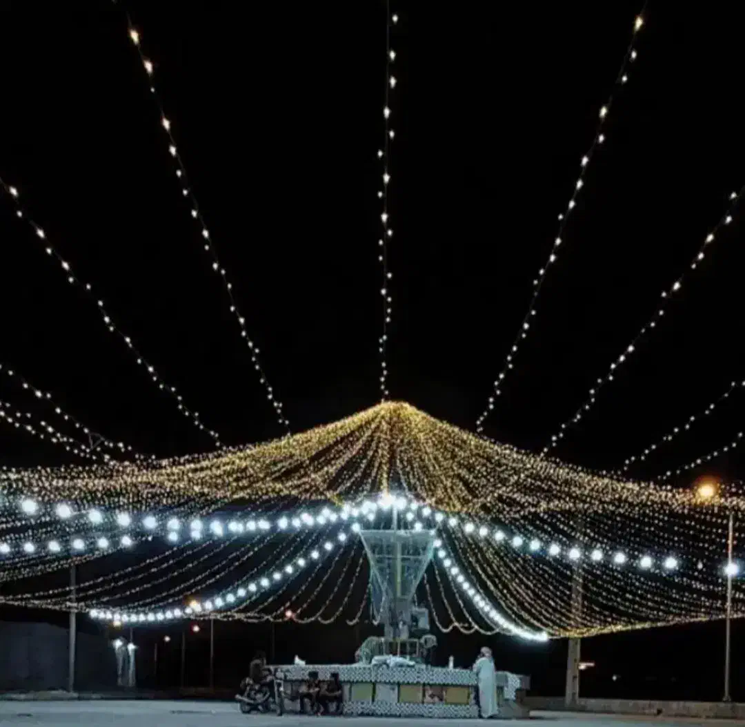 نور پردازی نخل|ریسه و چراغ تزئینی|بندرعباس, |دیوار