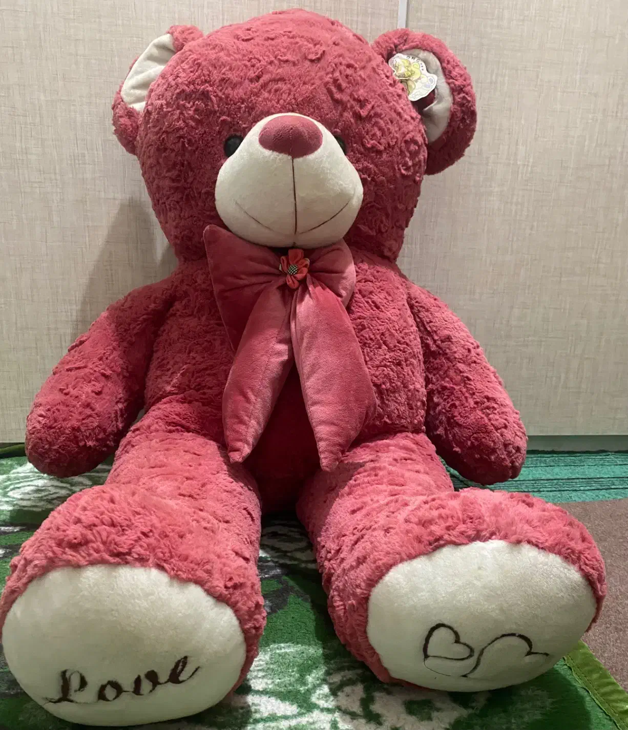 خرس|اسباببازی بچه|خوی, |دیوار