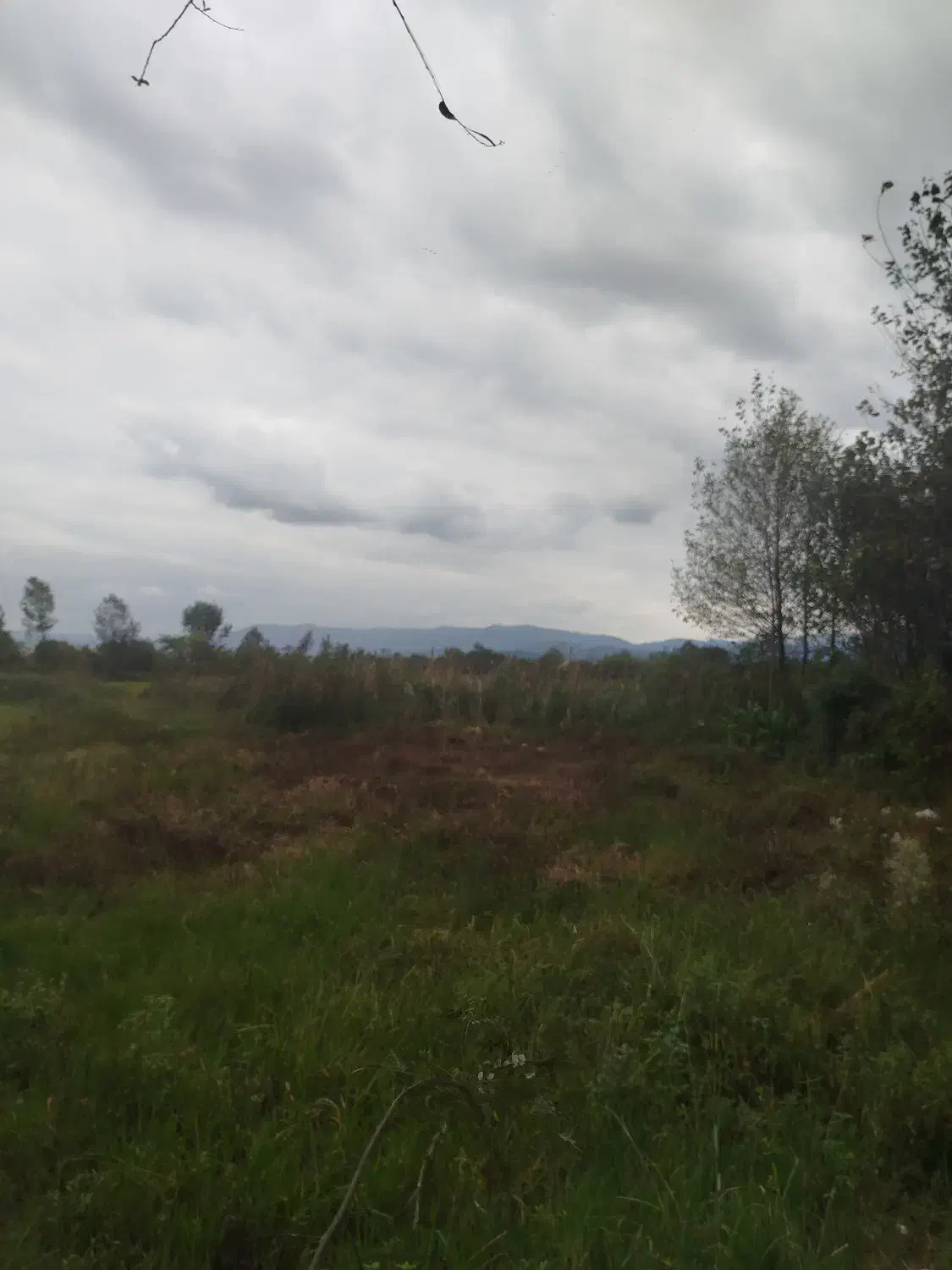 500متر خانه زمین با امتیازات کامل|فروش خانه و ویلا|احمدسرگوراب, |دیوار