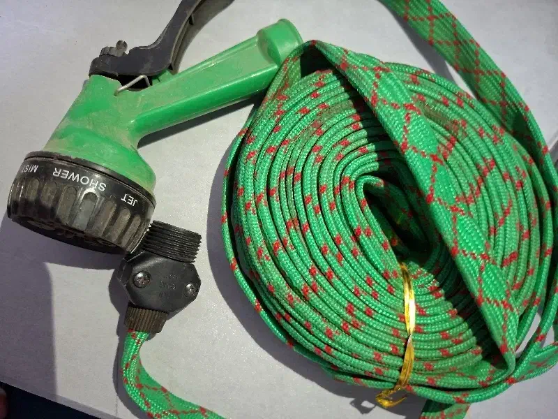 گل وگیاه|گل و گیاه طبیعی|شیراز, شهرک مهدیه|دیوار