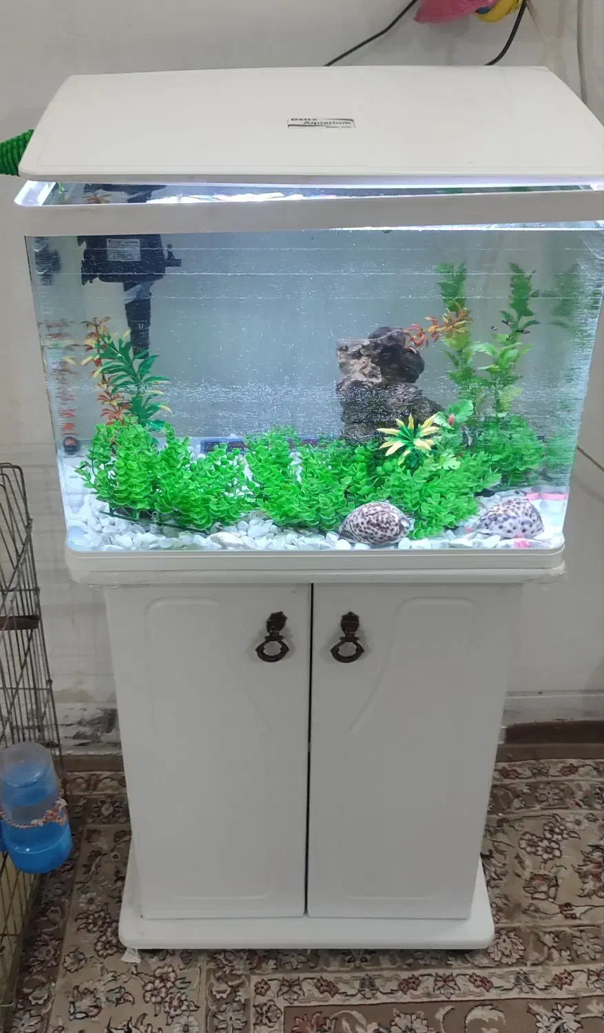 آکواریوم نو سالم|ماهی|خمینی‌شهر, |دیوار