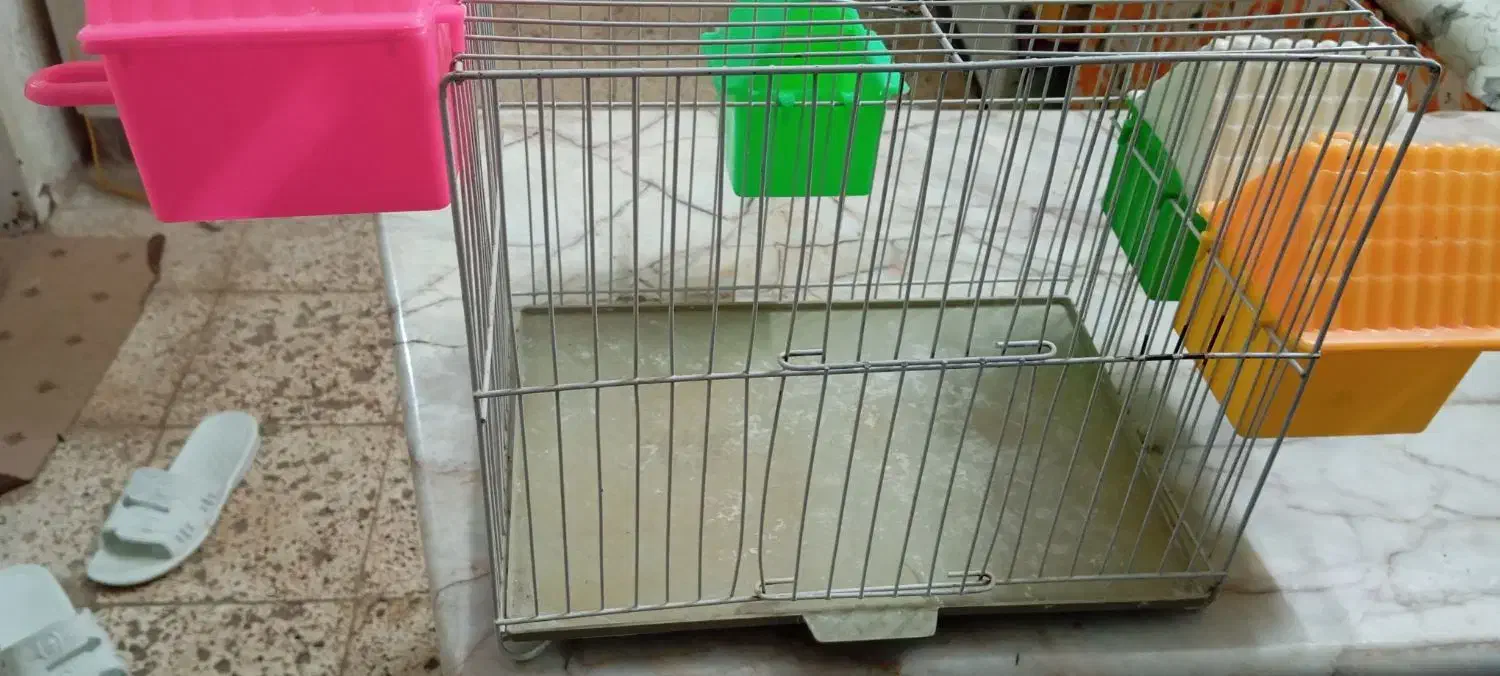 قفس کوچک|لوازم جانبی حیوانات|مشهد, حجت|دیوار