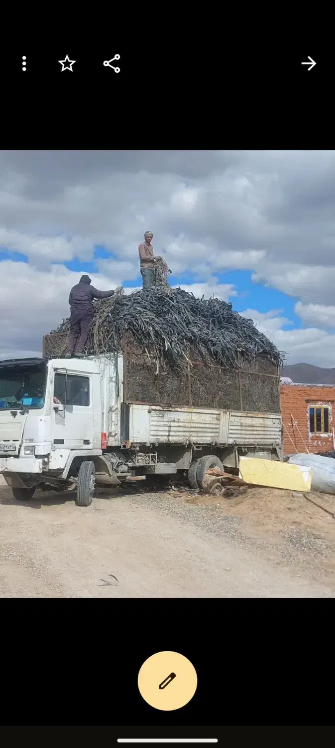 خریدار ضایعات نوار طیف|خدمات باغبانی و درختکاری|کبودرآهنگ, |دیوار