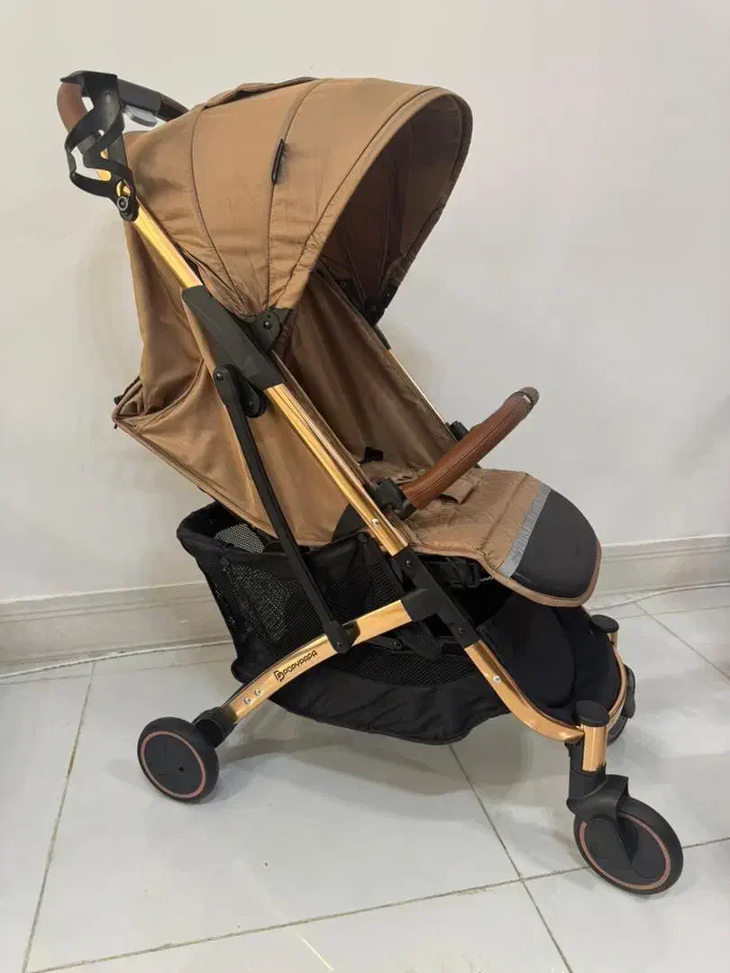 کالسکه پاپی پاپا|کالسکه و لوازم جانبی|بوشهر, |دیوار