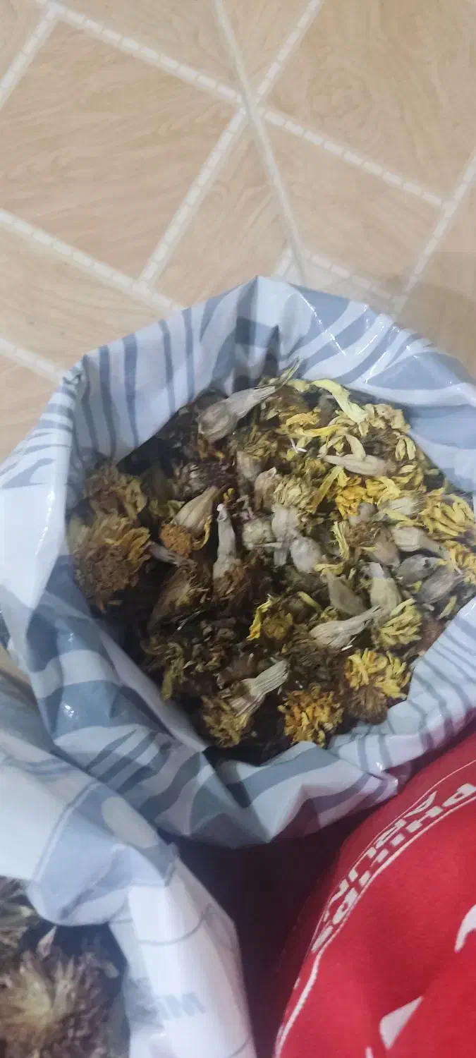 دانه گل|خدمات باغبانی و درختکاری|برازجان, |دیوار