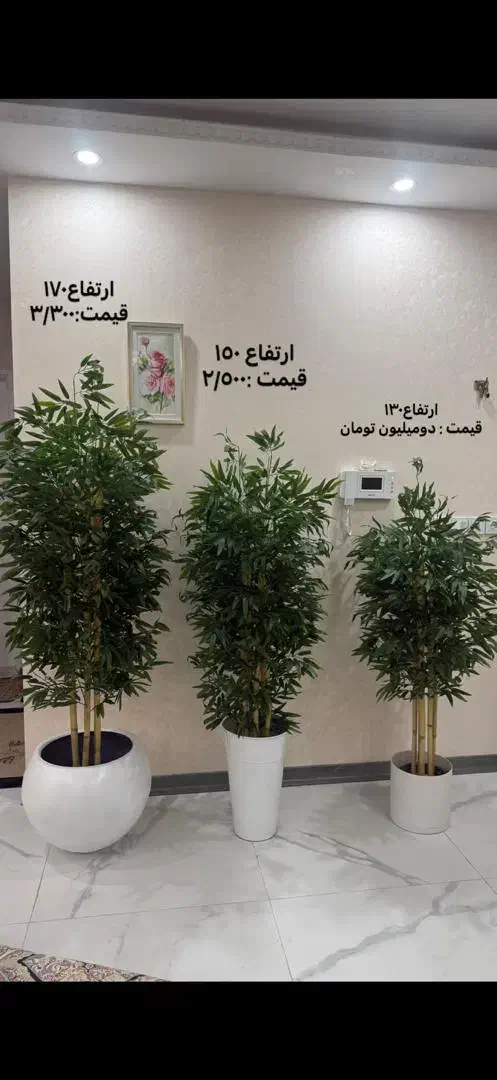 درختچه مصنوعی بامبو|گل مصنوعی|قوچان, |دیوار