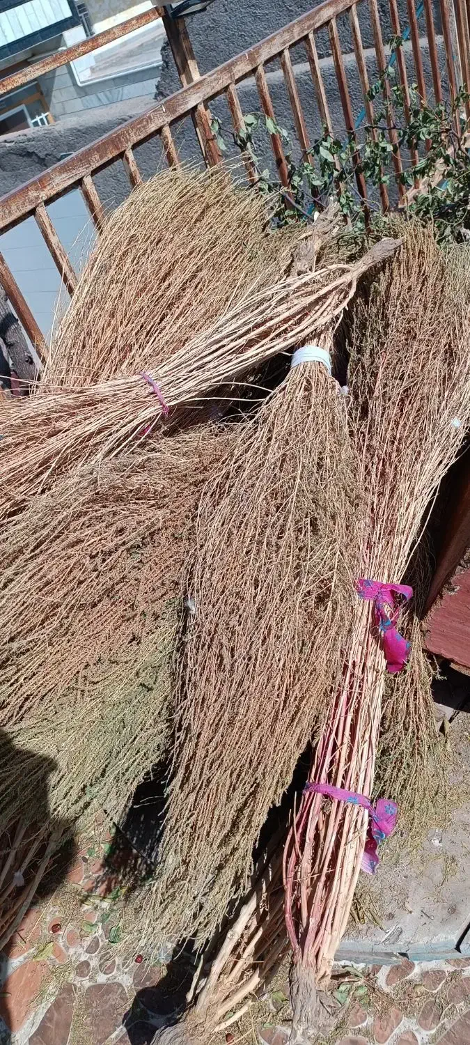 حراج جاروی محلی|لوازم نظافت|بیرجند, |دیوار