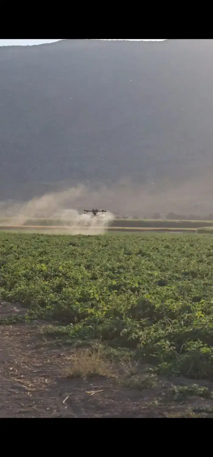 پهپاد پارسه|خدمات باغبانی و درختکاری|درودزن, |دیوار