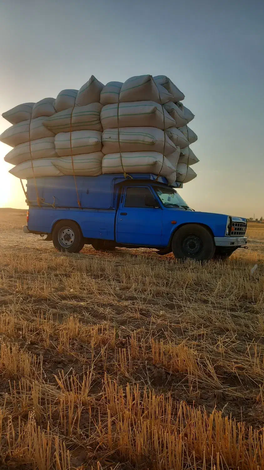 خوراک و کاه گندم و کاه لوبیا|حیوانات مزرعه|رشت, گیل|دیوار