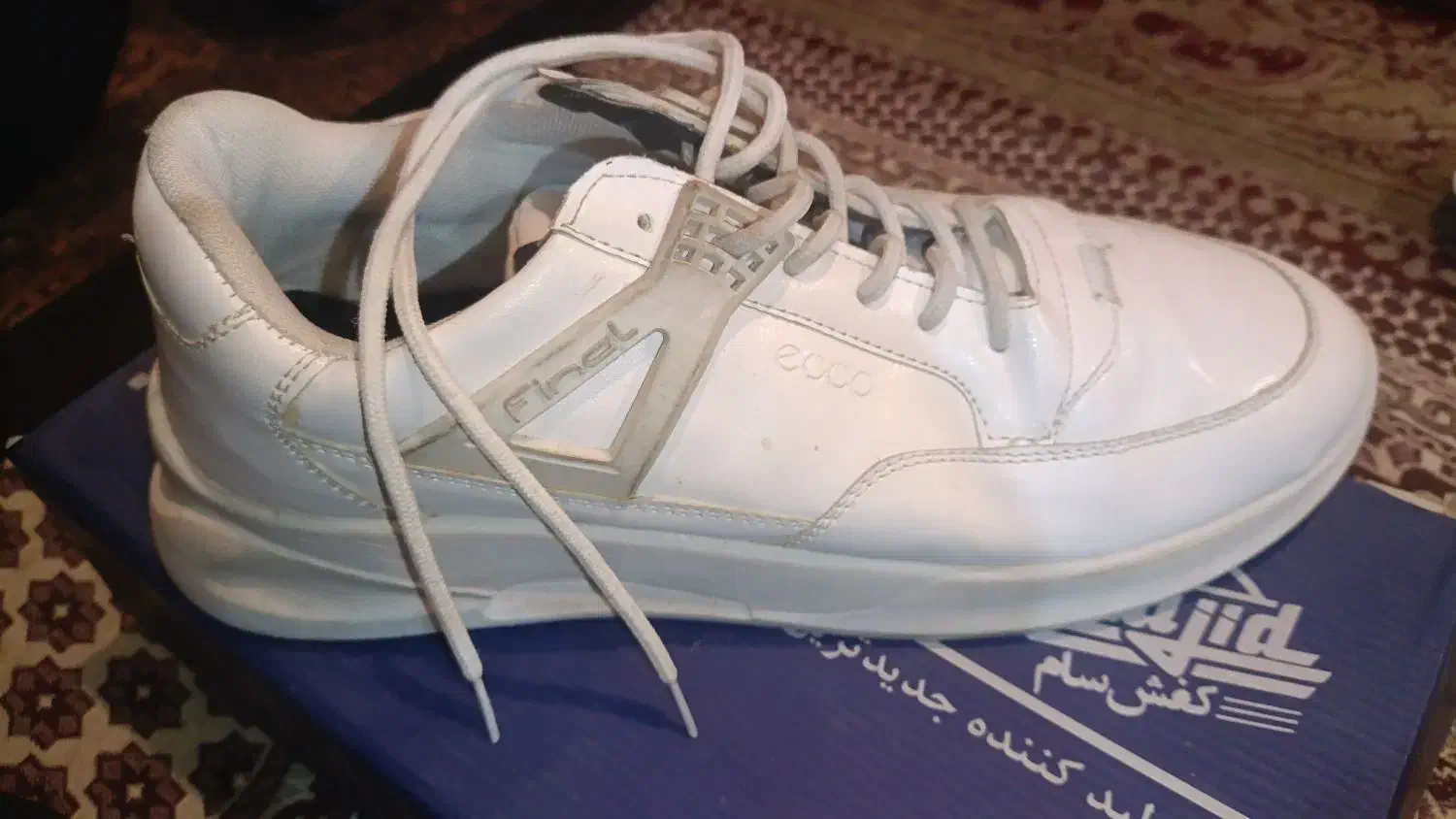 (کفش نو فارسان)|کیف، کفش، کمربند|فارسان, |دیوار