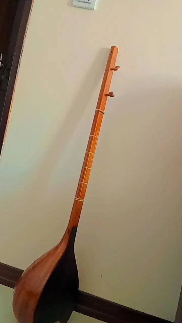 دوتار|سازهای سنتی|پیشوا, |دیوار