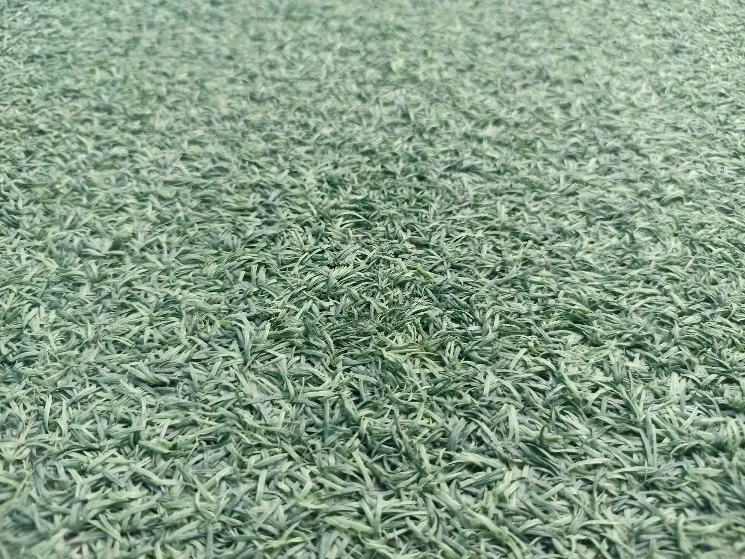 چمن مصنوعی|گل مصنوعی|مشهد, تربیت (صدف)|دیوار