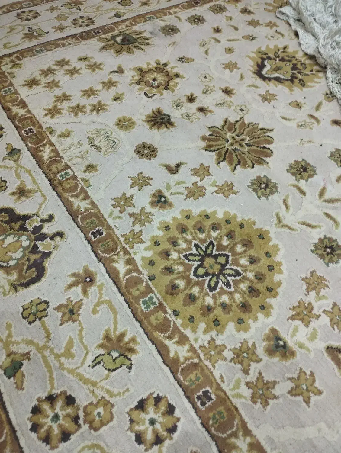 فرش مدل بلژیکی|فرش|آستارا, |دیوار