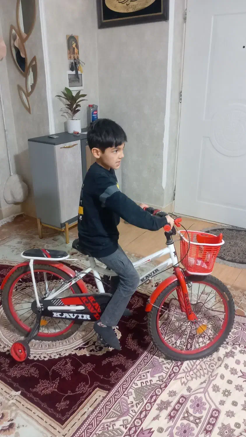 دوچرخه|دوچرخه، اسکیت، اسکوتر|شاهرود, |دیوار