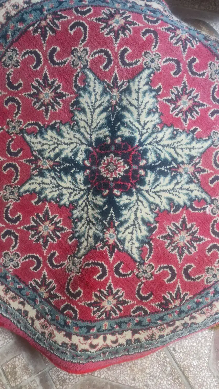 فرش کوچک|فرش|لاهیجان, شهرک سلمان فارسی|دیوار