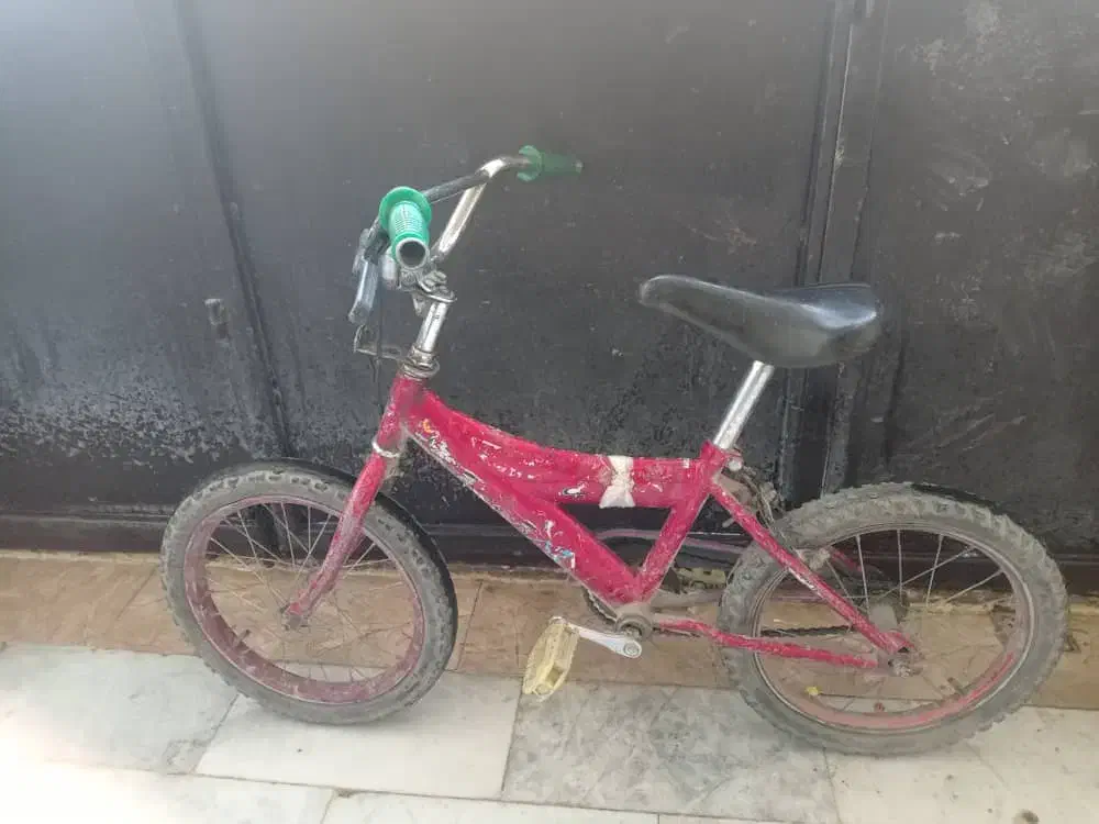 دوچرخه‌سواری سایز 16|دوچرخه، اسکیت، اسکوتر|ماهدشت, |دیوار