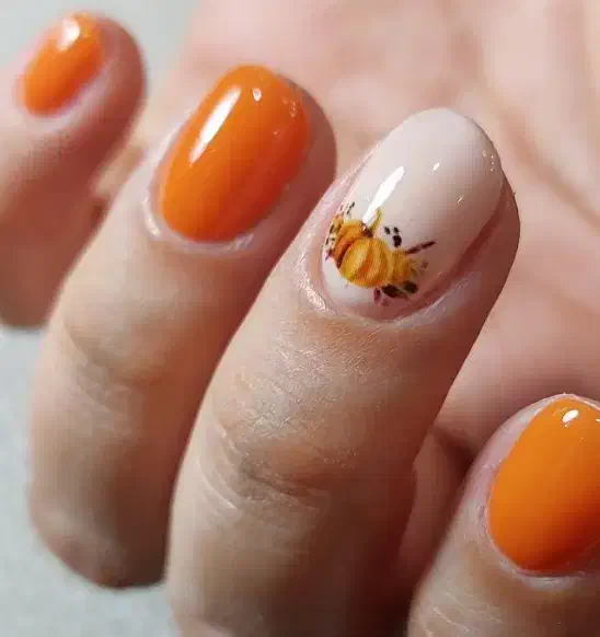 کاشت ناخن مژه بافت مو متریال عالی|خدمات آرایشگری و زیبایی|قم, حقیقت|دیوار