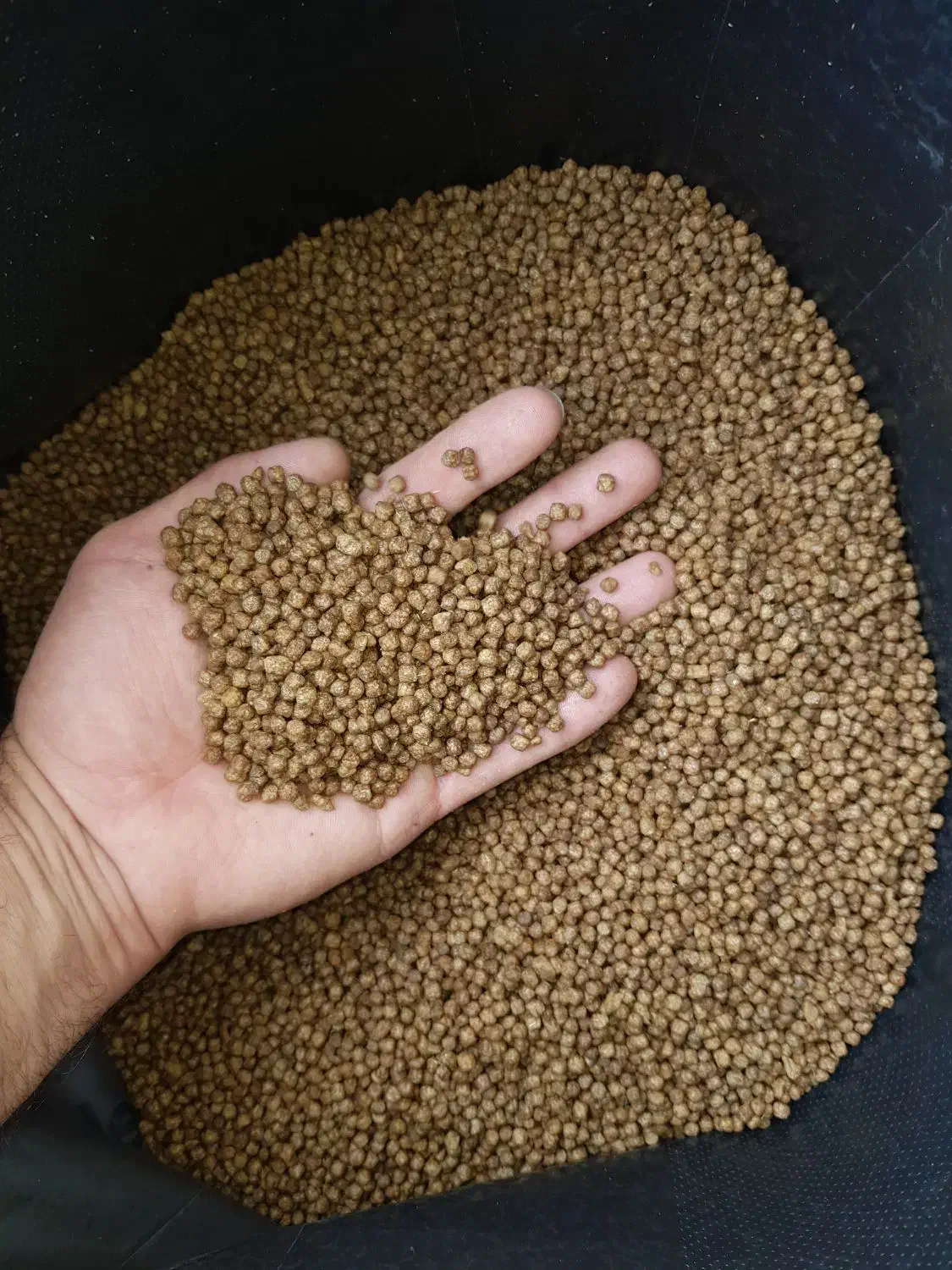 خوراک غذای ماهی کپور غذا ماهی قزل الا.|ماهی|زاهدان, |دیوار