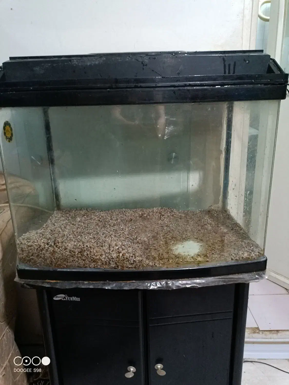 آکواریوم شیشه خم|ماهی|تهران, کاشانک|دیوار