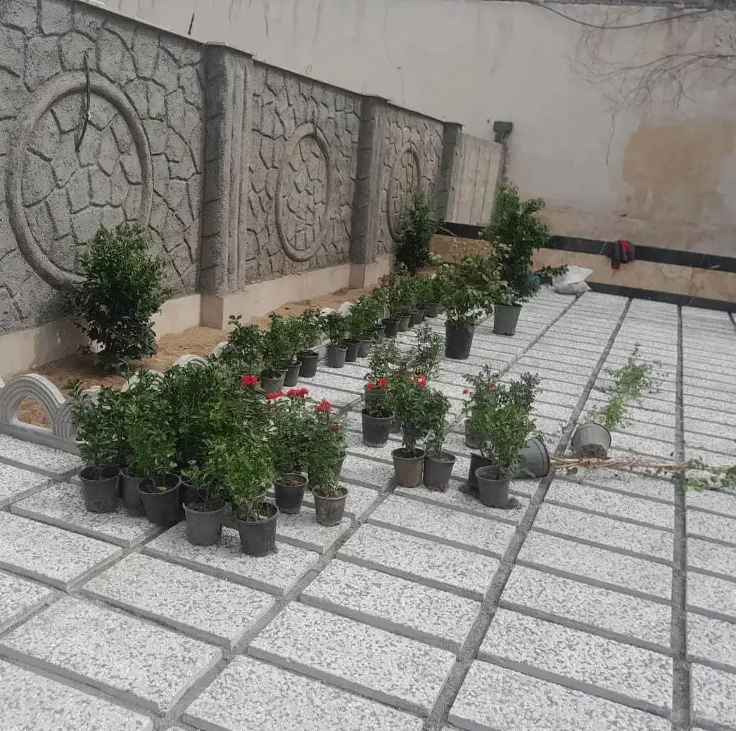 خدمات باغبانی طراحی گلکاری درختکاری محوطه سازی|خدمات باغبانی و درختکاری|همدان, |دیوار