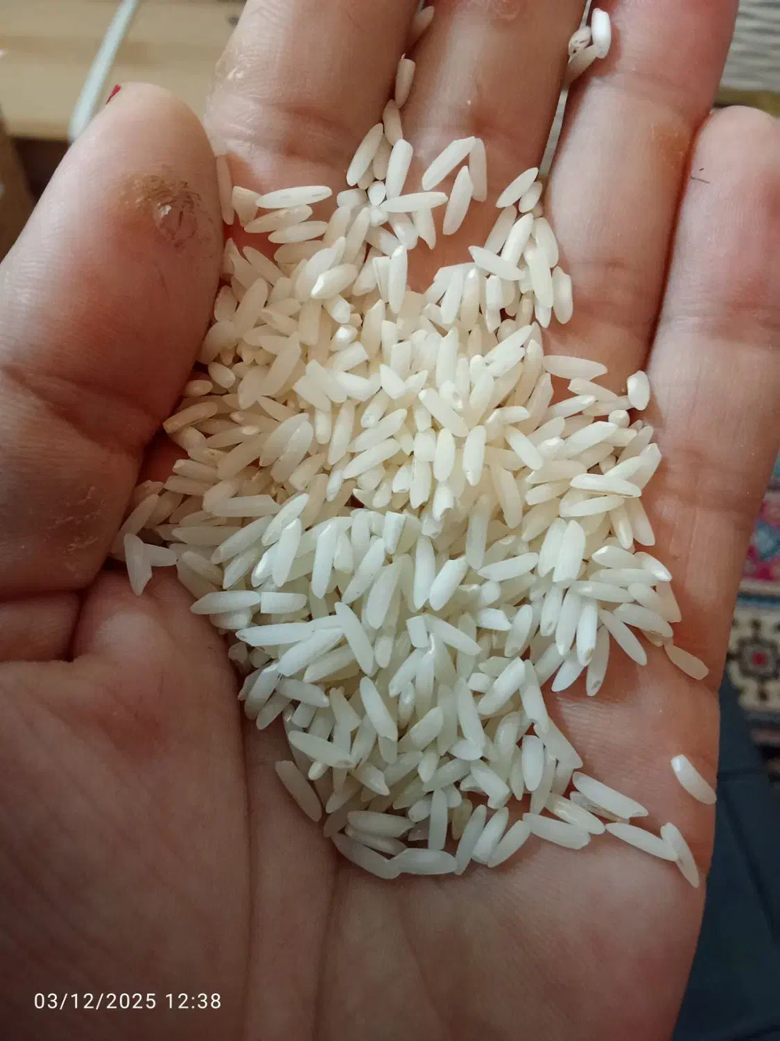 برنج هاشمی سورتینگ زده|خوردنی و آشامیدنی|لنگرود, |دیوار