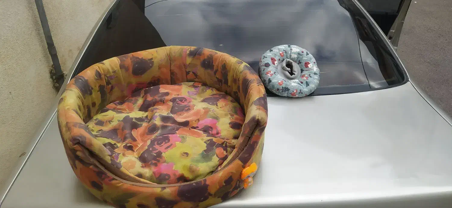 لانه دو حالته ضد حساسیت برای حیوانات|لوازم جانبی حیوانات|رشت, گلباغ نماز|دیوار