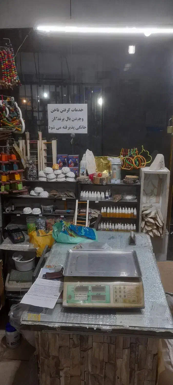 خوراک پرندگان|لوازم جانبی حیوانات|شاهین‌شهر, شهرک گلدیس|دیوار