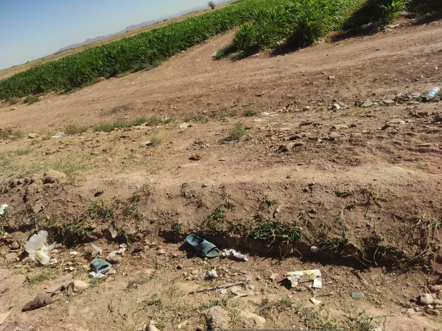 52 هکتار زمین کشاورزی|فروش دفتر صنعتی، کشاورزی، تجاری|میمه, |دیوار