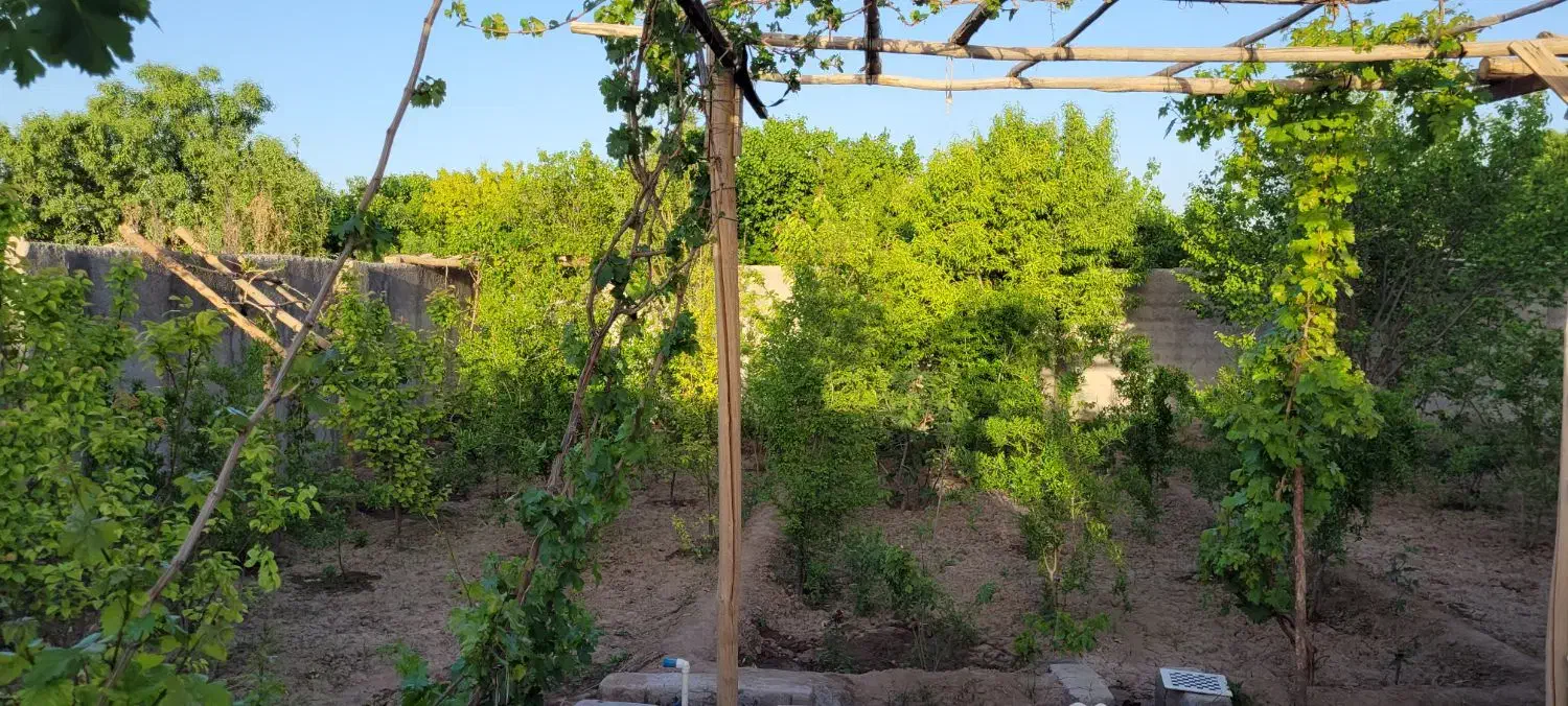 خونه باغ|فروش خانه و ویلا|کاشان, حسن آباد|دیوار