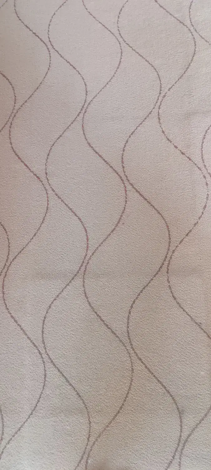 موکت سالم|موکت|هشتگرد, گلسار|دیوار