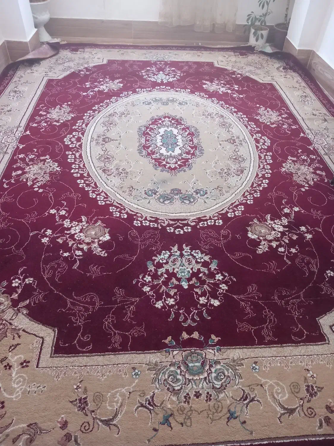 ۲ عدد قالی|فرش|شهرکرد, |دیوار