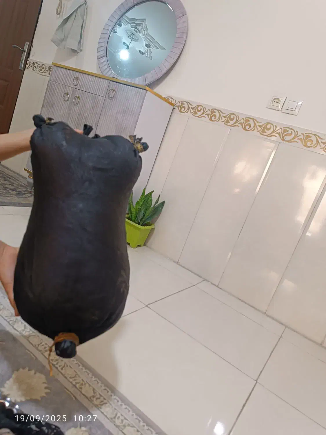 جا روغن حیوانی|ظروف نگهدارنده، پلاستیکی، یک‌بارمصرف|شهریار, شهرک بهاران (ویره)|دیوار