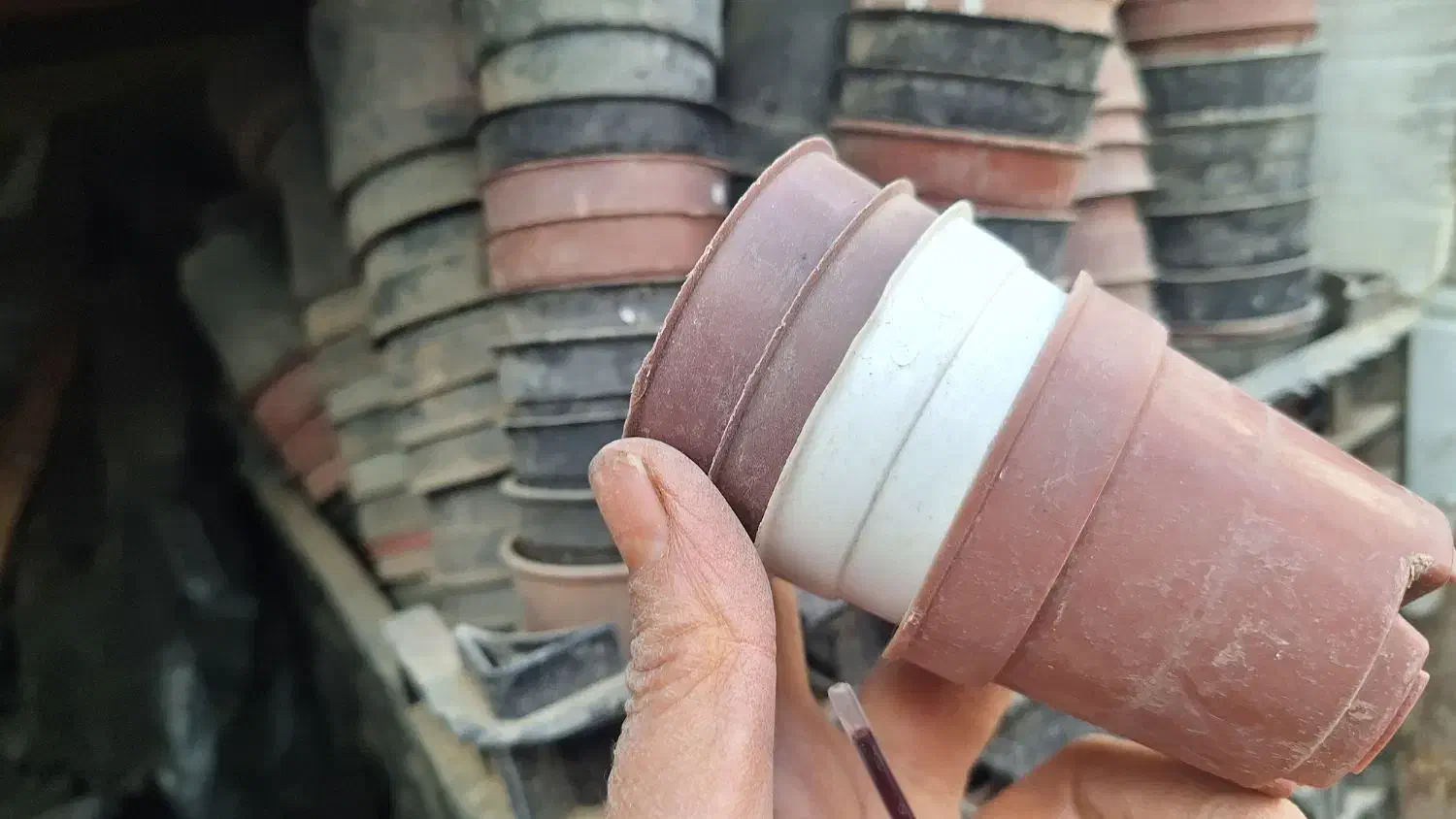 گلدان لاکی کار کرده تمیز|گل و گیاه طبیعی|نیشابور, مدرس|دیوار