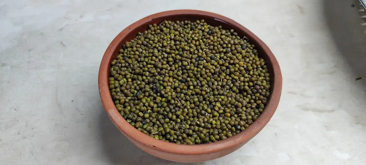 ماش اعلاء|خوردنی و آشامیدنی|رومشکان, |دیوار