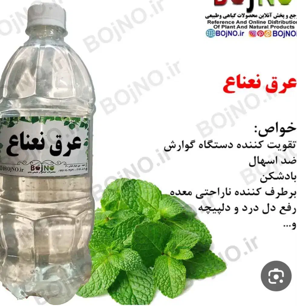 عرق نعنا|خوردنی و آشامیدنی|هشتگرد, هشتگرد قدیم|دیوار