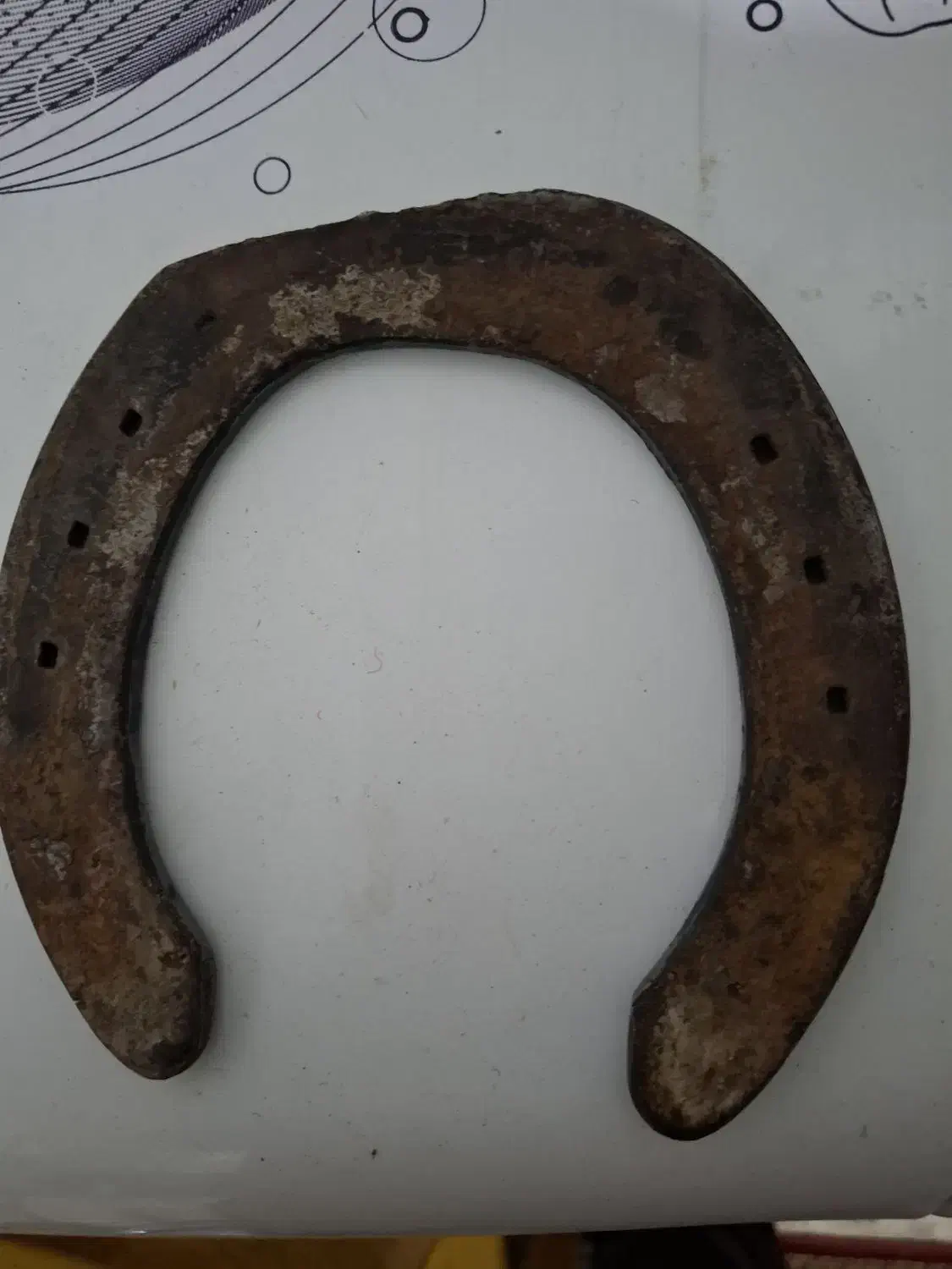 نعل اسب|اسب و تجهیزات اسب‌سواری|حمیدیا, |دیوار