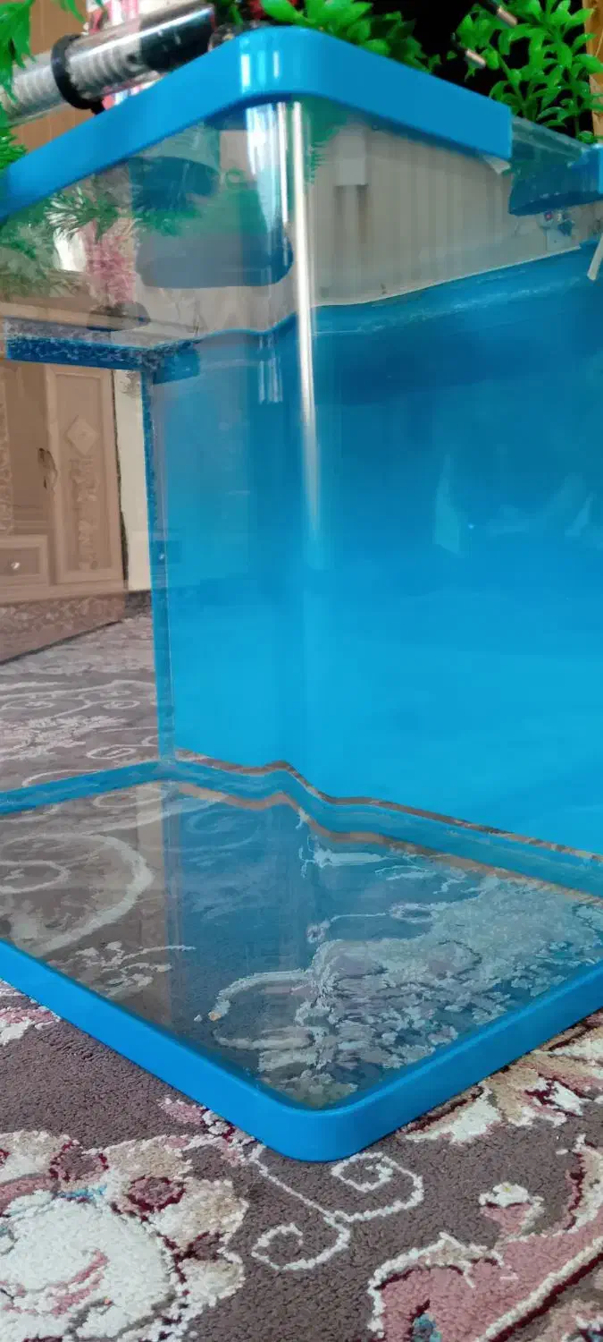 اکواریوم با لوازم|ماهی|بروجرد, |دیوار