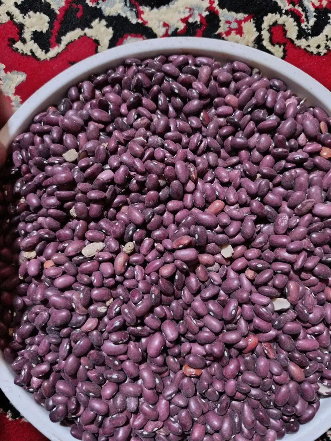 لوبیا قرمز|خوردنی و آشامیدنی|دهگلان, |دیوار