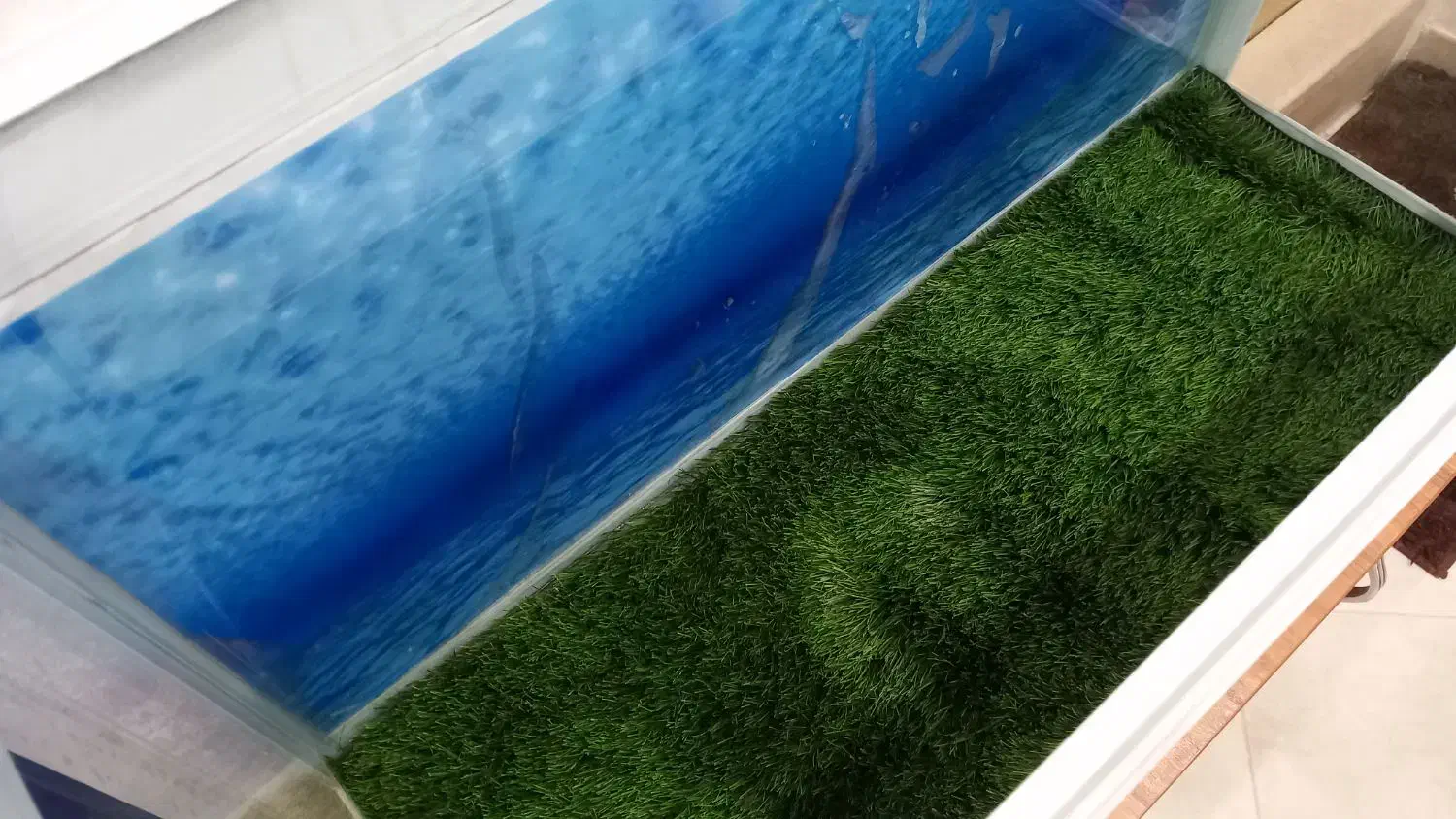 دوتا آکواریوم ۱متری شرکتی ومعمولی با کلیه وسایل|ماهی|بروجرد, |دیوار