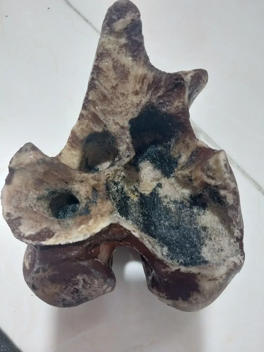 زیر سیگاری|صنایع دستی و سایر لوازم تزئینی|تهران, امیریه|دیوار