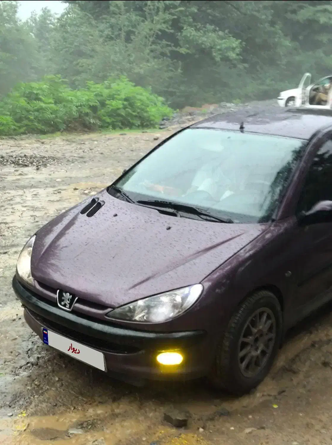 پژو 206 تیپ 5 V8 مدل 91 خاص و چشم گیر|خودرو سواری و وانت|فسا, |دیوار