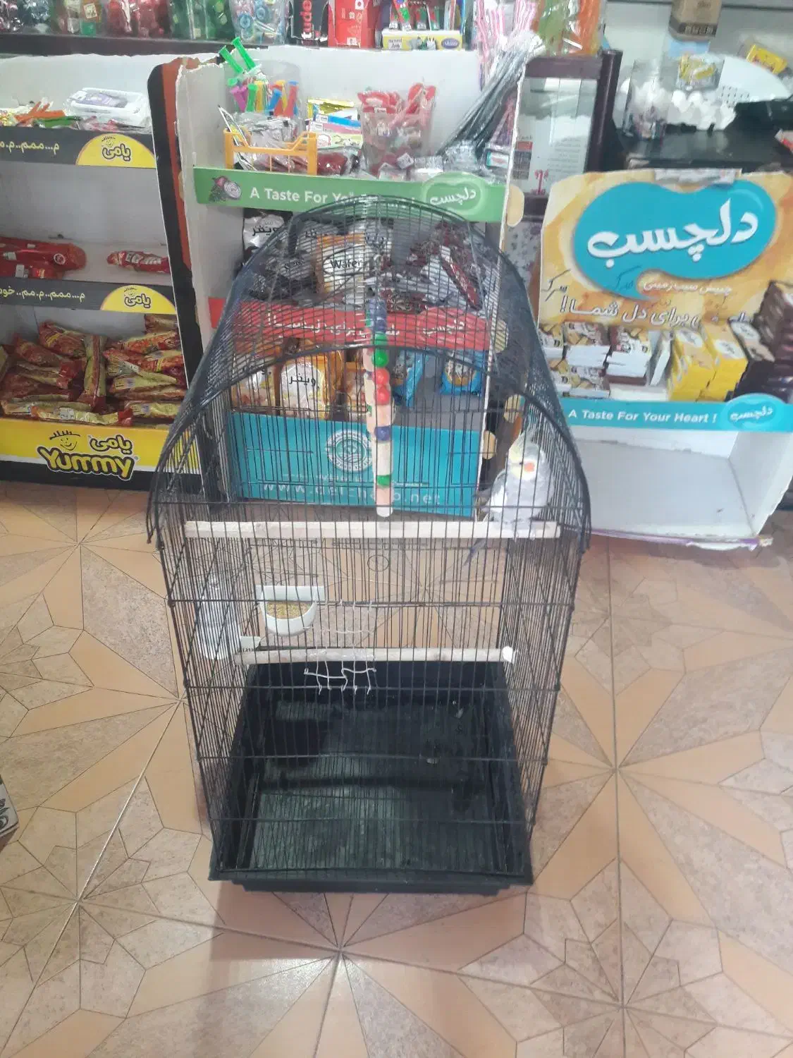 قفس عروس هلندی|لوازم جانبی حیوانات|اقبالیه, |دیوار