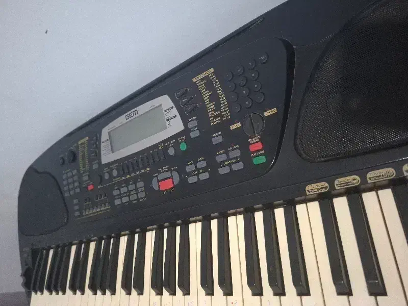 ارگ gem wk1|پیانو، کیبورد، آکاردئون|شهرکرد, |دیوار