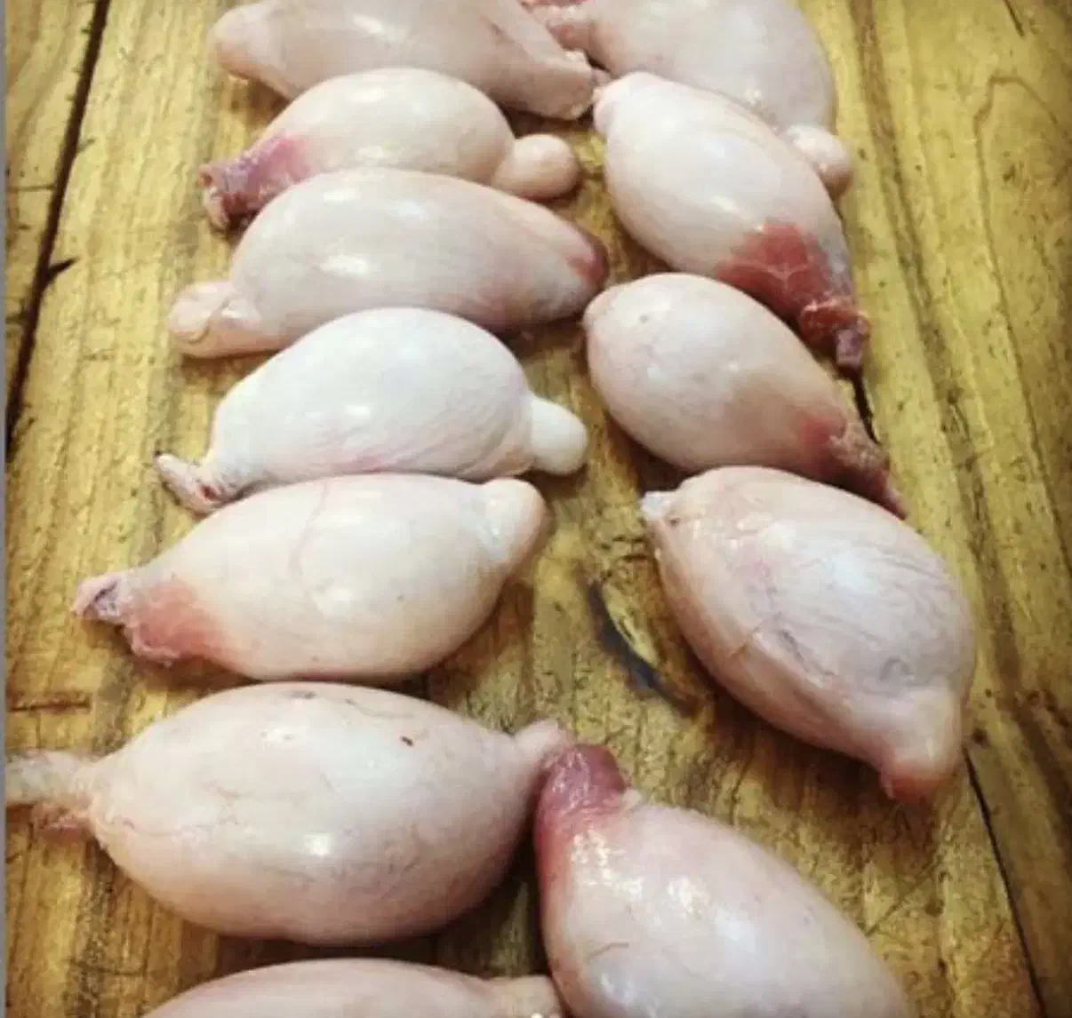 دنبلان گوسفند|خوردنی و آشامیدنی|شاهینشهر, امیرکبیر|دیوار