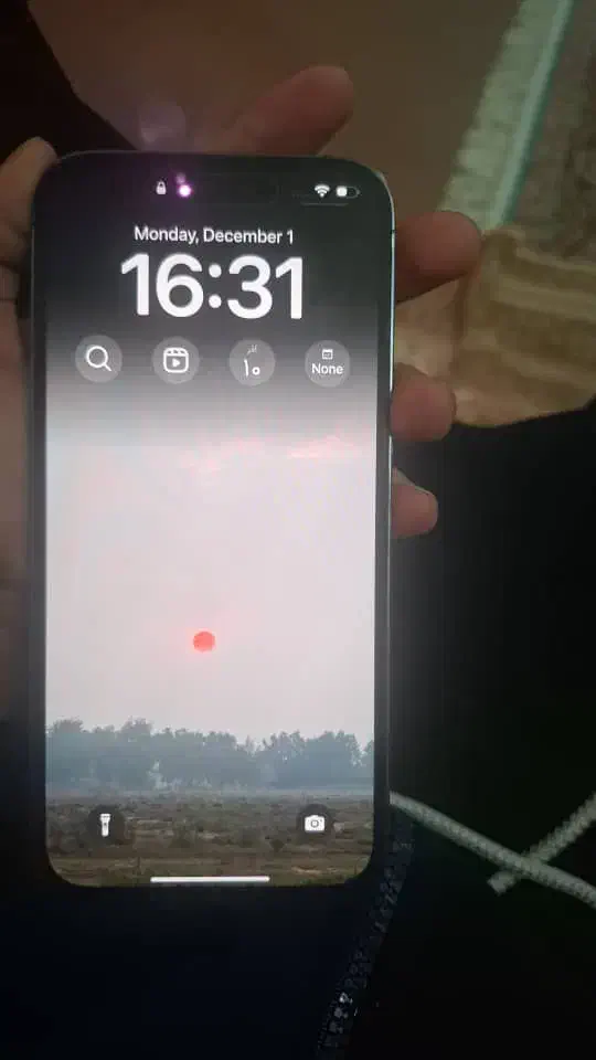 iPhone 14 Pro Max|موبایل|شیراز, شیخ روزبهان|دیوار