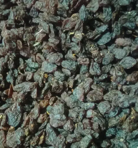 کشمش|خوردنی و آشامیدنی|اهواز, پردیس|دیوار