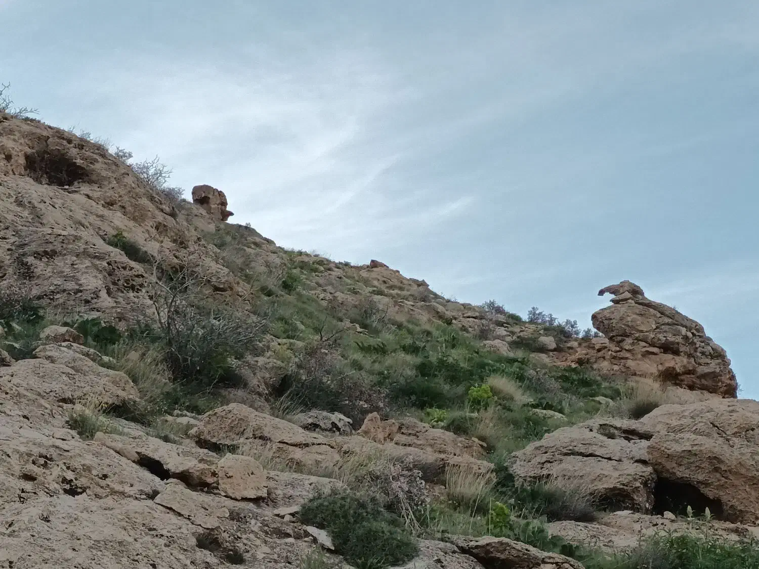 کارهای ساختمانی صفرتاصد انجام میشود|خدمات پیشه و مهارت|ازنا, |دیوار