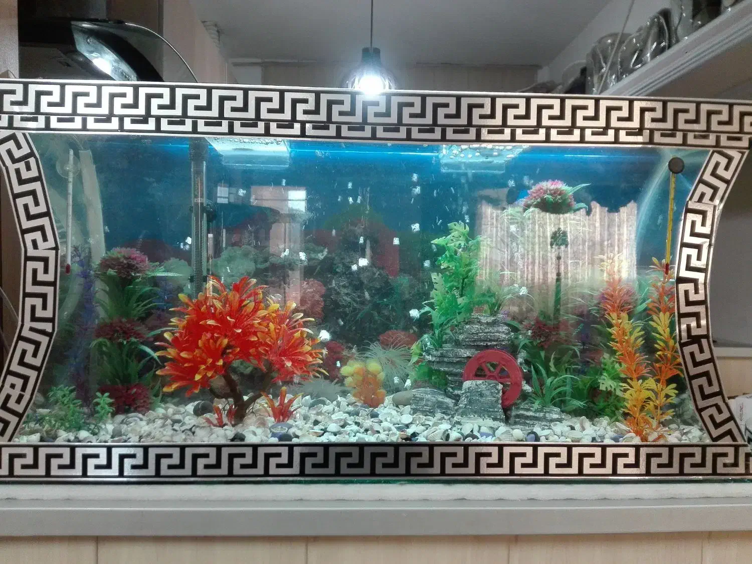 آکواریم خالی|ماهی|سبزوار, فیاض|دیوار